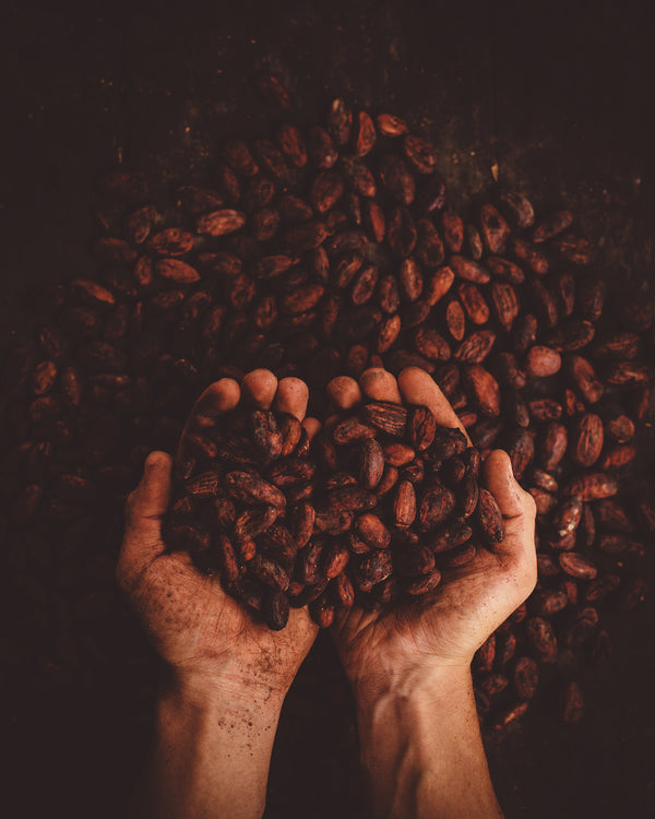 Alimento de los Dioses